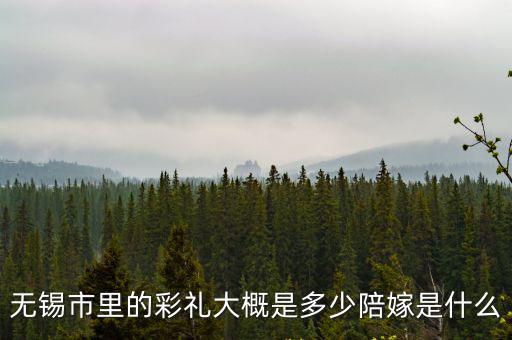 江蘇儀征市結(jié)婚彩禮多少錢,無錫市里的彩禮大概是多少