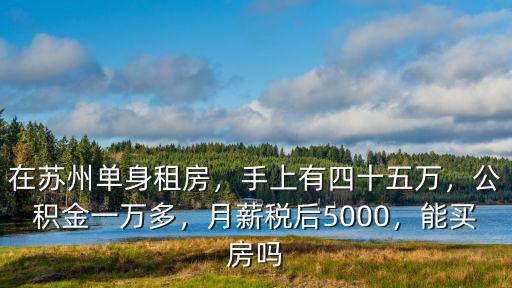 在蘇州單身租房，手上有四十五萬，公積金一萬多，月薪稅后5000，能買房嗎