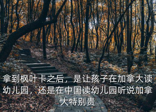 拿到楓葉卡之后，是讓孩子在加拿大讀幼兒園，還是在中國讀幼兒園聽說加拿大特別貴