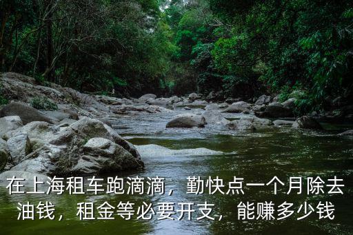 在上海租車跑滴滴，勤快點一個月除去油錢，租金等必要開支，能賺多少錢