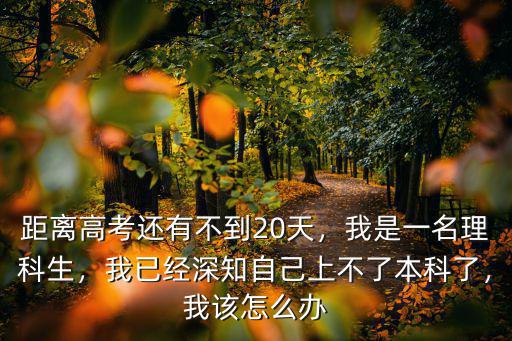 江蘇距離考旅游本科還有多少天,距離高考還有不到20天