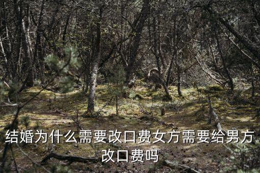 無(wú)錫結(jié)婚女方會(huì)給男方多少改口費(fèi),女方需要給男方改口費(fèi)嗎