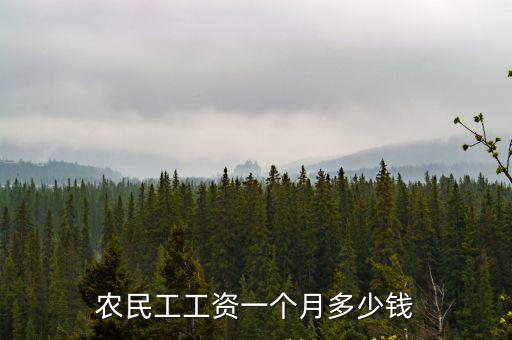 徐州工資一般多少錢一個月多少錢一個月,農民工工資一個月多少錢