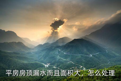 廣州平房房頂漏水怎么處理,平房房頂漏水而且面積大