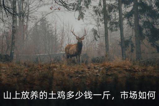 山上放養(yǎng)的土雞多少錢一斤，市場如何