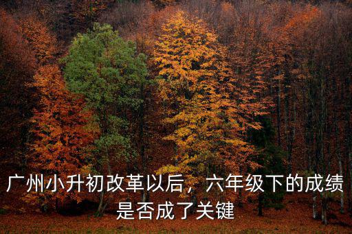 廣州小升初分數220分怎么辦,廣州小升初改革以后