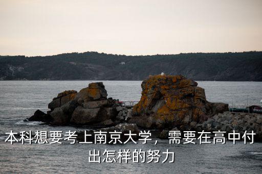 在廣東想要考進(jìn)南京大學(xué)要多少分,本科想要考上南京大學(xué)