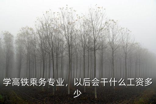 學高鐵乘務專業，以后會干什么工資多少