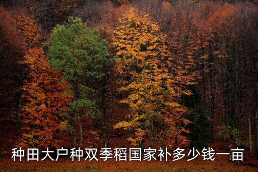 種田大戶種雙季稻國家補多少錢一畝