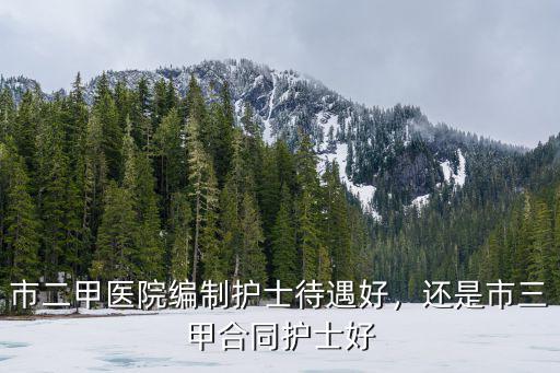市二甲醫(yī)院編制護士待遇好，還是市三甲合同護士好