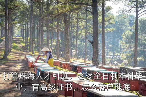 自考本科怎么落戶珠海,怎么落戶珠海