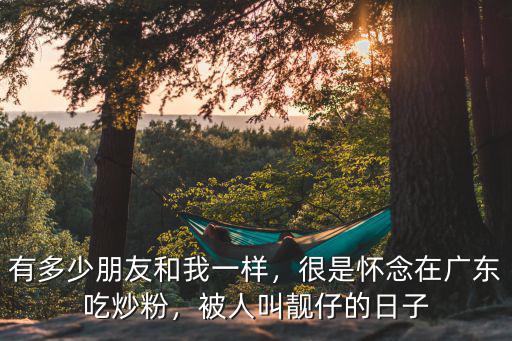 廣東炒粉夠火是怎么形容,很是懷念在廣東吃炒粉