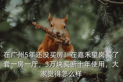 廣州嘉禾望崗怎么租房,廣州嘉禾望崗發展的怎么樣