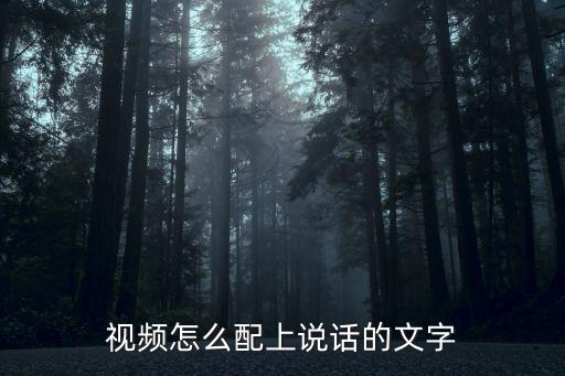視頻怎么配上說話的文字