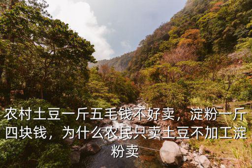 農(nóng)村土豆一斤五毛錢(qián)不好賣，淀粉一斤四塊錢(qián)，為什么農(nóng)民只賣土豆不加工淀粉賣