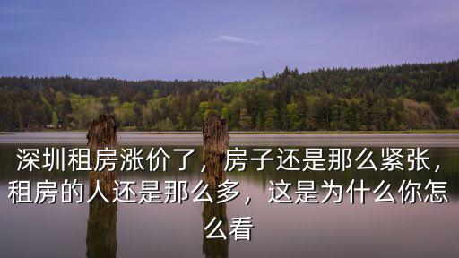 今年深圳租房怎么樣,深圳租房漲價(jià)了