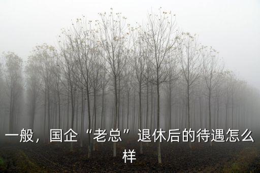 深圳國企高管待遇怎么樣,國企高層年薪怎么樣