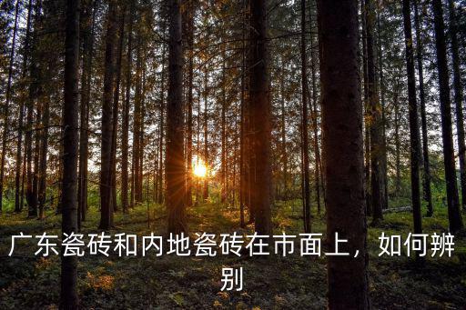 廣東瓷磚和內地瓷磚在市面上，如何辨別