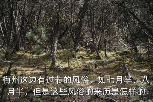梅州這邊有過節的風俗，如七月半、八月半，但是這些風俗的來歷是怎樣的