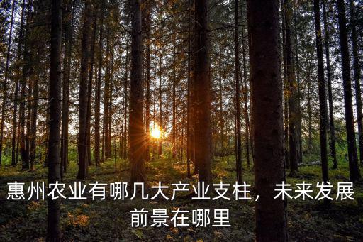 惠州亨達利農業開發公司怎么樣,惠州博羅縣發展的怎么樣