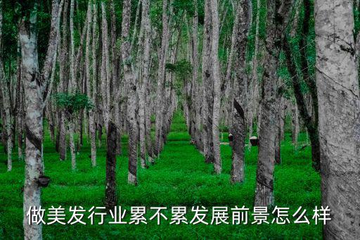 深圳范思哲做發型師怎么樣,深圳優剪發型師待遇怎么樣