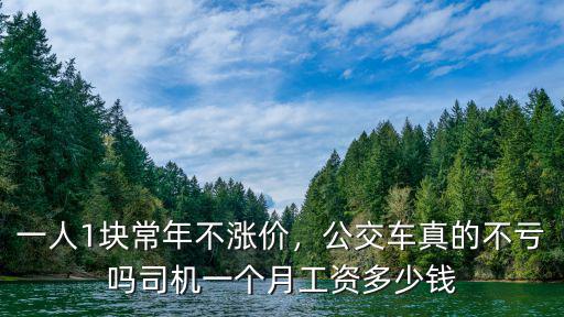 一人1塊常年不漲價，公交車真的不虧嗎司機一個月工資多少錢