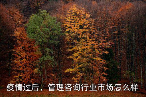 疫情過后，管理咨詢行業市場怎么樣
