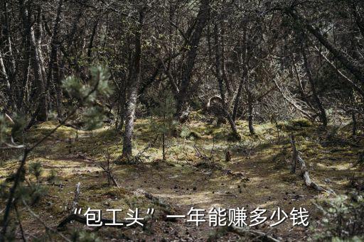 “包工頭”一年能賺多少錢