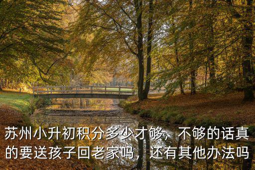 蘇州多少積分可以上學6,蘇州小升初積分多少才夠