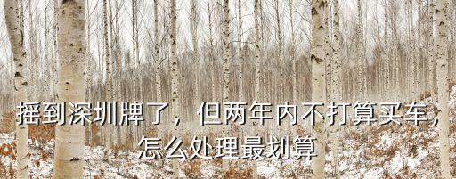 搖深圳汽車粵b牌怎么搖,搖到深圳牌了