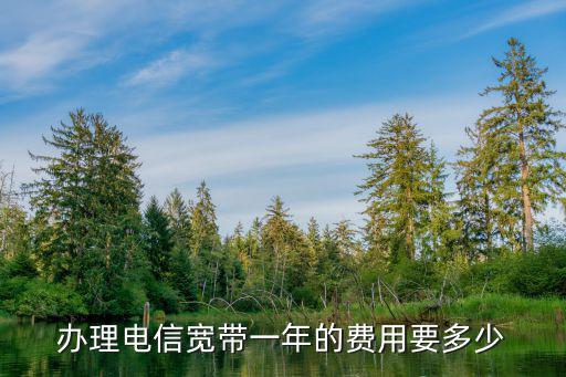 辦理電信寬帶一年的費(fèi)用要多少