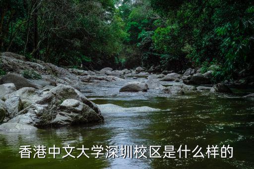 深圳香港中文大學學勤書院怎么樣,研究生院怎么樣