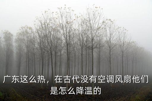 廣東人怎么叫電風扇,廣東人為什么離不開燒臘