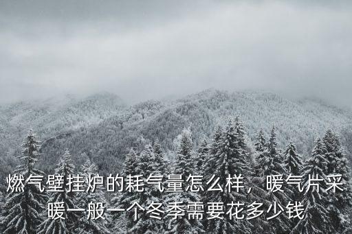 燃?xì)獗趻鞝t的耗氣量怎么樣，暖氣片采暖一般一個(gè)冬季需要花多少錢(qián)