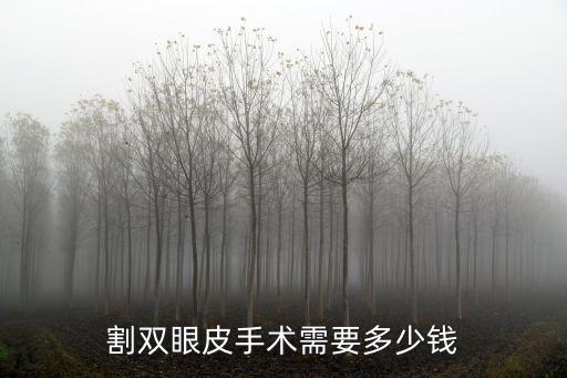 割雙眼皮手術(shù)需要多少錢