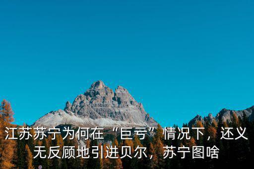 江蘇蘇寧為何在“巨虧”情況下，還義無反顧地引進貝爾，蘇寧圖啥