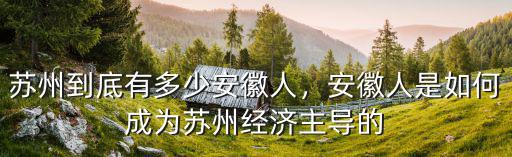 蘇州到底有多少安徽人，安徽人是如何成為蘇州經濟主導的