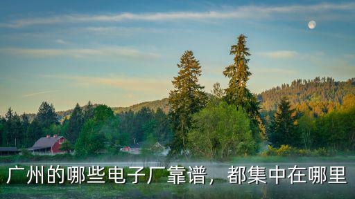 廣州的哪些電子廠靠譜，都集中在哪里