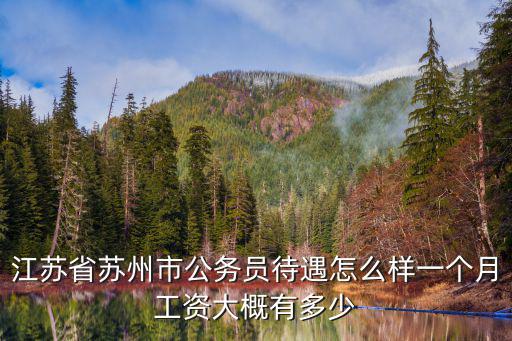 連云港市公務(wù)員工資收入多少,江蘇公務(wù)員一年收入多少錢