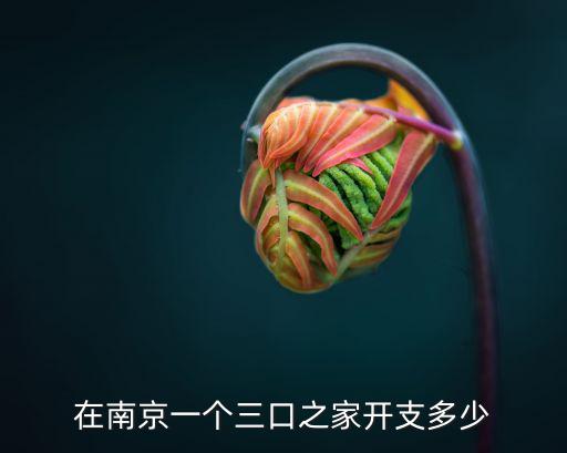 在南京一個三口之家開支多少