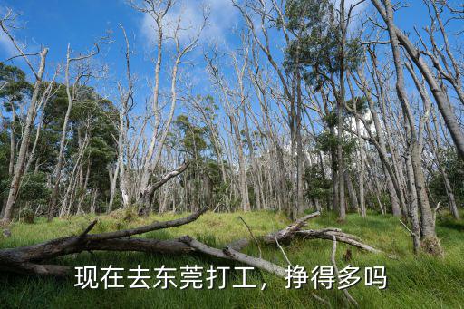 現在去東莞打工，掙得多嗎