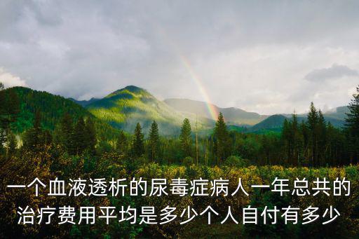 一個血液透析的尿毒癥病人一年總共的治療費用平均是多少個人自付有多少