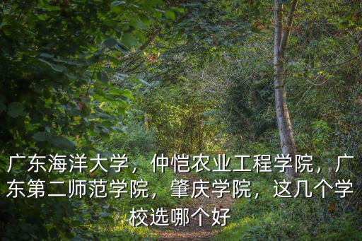 廣東海洋大學，仲愷農業工程學院，廣東第二師范學院，肇慶學院，這幾個學校選哪個好