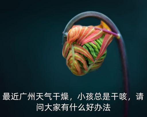廣州干燥容易上火怎么辦,最近廣州天氣干燥