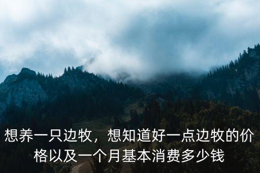 徐州邊牧的價格是多少錢一只,買一只邊牧需要多少錢