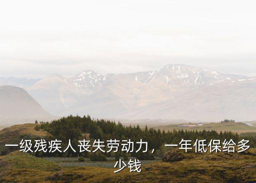 常州一級殘疾補貼多少錢,一年低保給多少錢