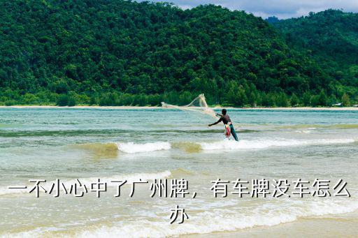 廣州車牌指標(biāo)我搖到了怎么辦,在廣州搖到車牌指標(biāo)后