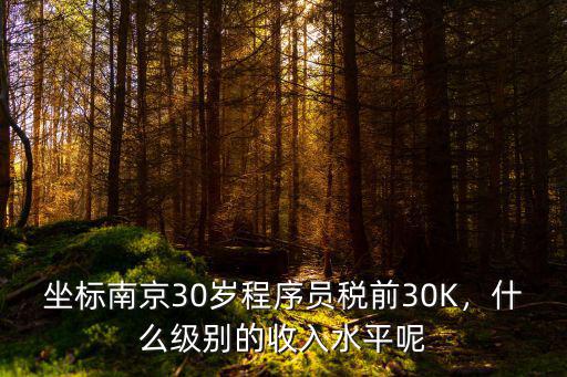 坐標南京30歲程序員稅前30K，什么級別的收入水平呢