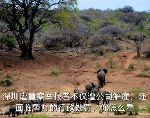 深圳虐童案舉報者不僅遭公司解雇，還面臨警方的行政處罰，你怎么看