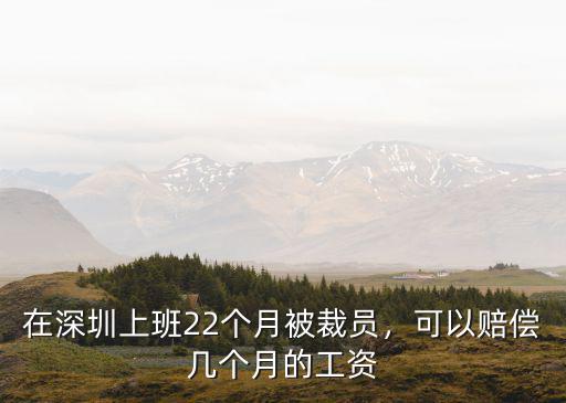 在深圳上班22個(gè)月被裁員，可以賠償幾個(gè)月的工資
